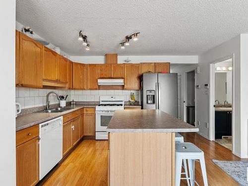 16213 93 Street, Edmonton, AB - Indoor Photo Showing Kitchen With Double Sink