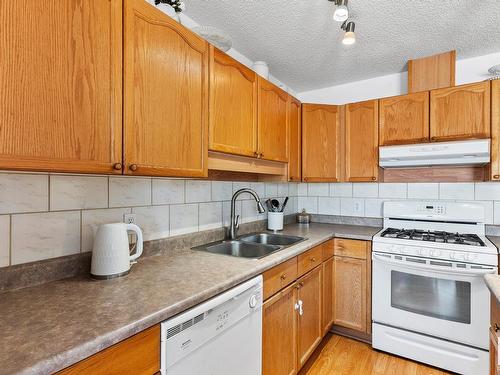 16213 93 Street, Edmonton, AB - Indoor Photo Showing Kitchen With Double Sink