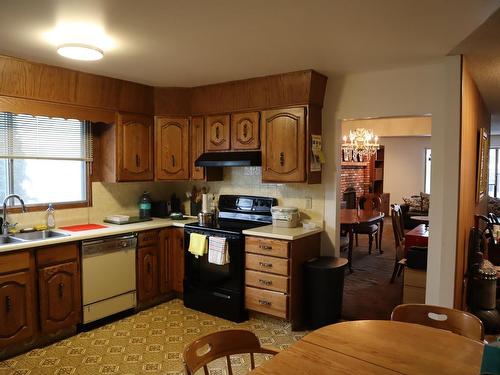 10611 129 Street, Edmonton, AB - Indoor Photo Showing Kitchen With Double Sink