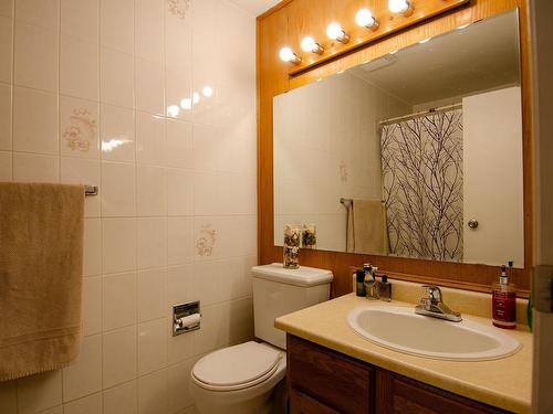 264 Dunluce Road, Edmonton, AB - Indoor Photo Showing Bathroom