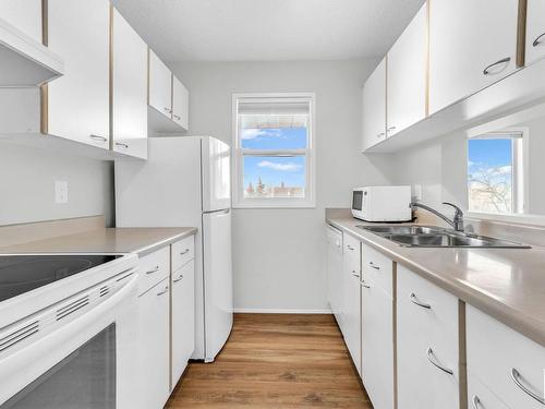 316 11218 80 Street, Edmonton, AB - Indoor Photo Showing Kitchen With Double Sink