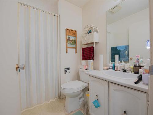 22 Homestead Crescent, Edmonton, AB - Indoor Photo Showing Bathroom