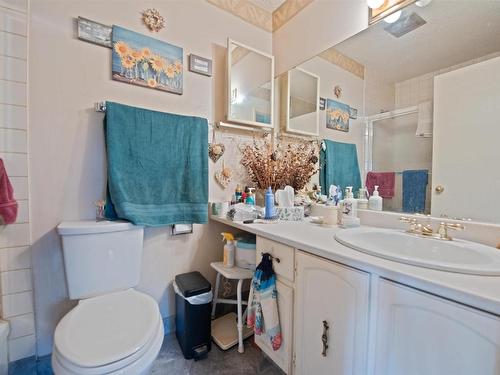 22 Homestead Crescent, Edmonton, AB - Indoor Photo Showing Bathroom