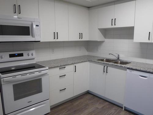 316 9504 182 Street Nw, Edmonton, AB - Indoor Photo Showing Kitchen With Double Sink