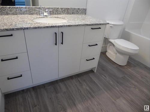 316 9504 182 Street Nw, Edmonton, AB - Indoor Photo Showing Bathroom