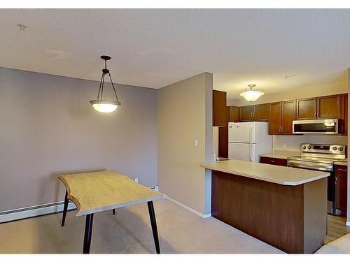 215 17459 98A Avenue, Edmonton, AB - Indoor Photo Showing Kitchen