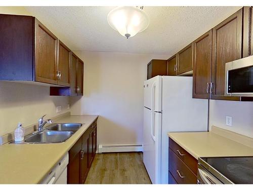 215 17459 98A Avenue, Edmonton, AB - Indoor Photo Showing Kitchen With Double Sink