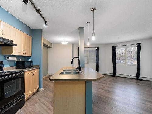 109 11449 Ellerslie Road, Edmonton, AB - Indoor Photo Showing Kitchen With Double Sink