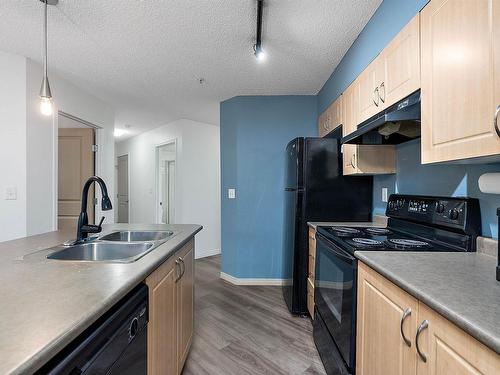 109 11449 Ellerslie Road, Edmonton, AB - Indoor Photo Showing Kitchen With Double Sink