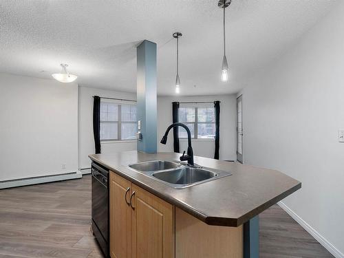 109 11449 Ellerslie Road, Edmonton, AB - Indoor Photo Showing Kitchen With Double Sink