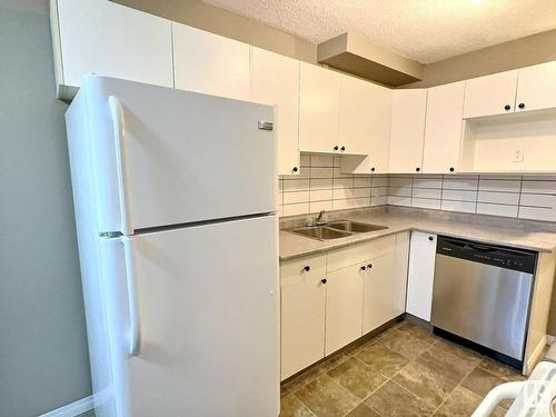 2216 38 Street, Edmonton, AB - Indoor Photo Showing Kitchen With Double Sink