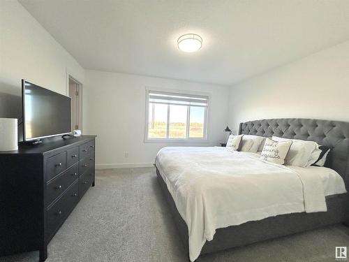 19620 29 Avenue Nw, Edmonton, AB - Indoor Photo Showing Bedroom