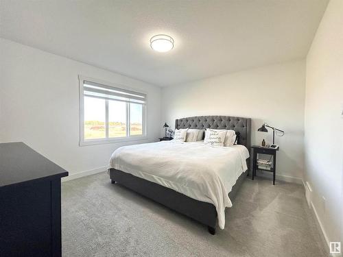 19620 29 Avenue Nw, Edmonton, AB - Indoor Photo Showing Bedroom