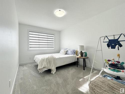 19620 29 Avenue Nw, Edmonton, AB - Indoor Photo Showing Bedroom