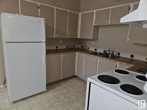 6496 178 Street, Edmonton, AB - Indoor Photo Showing Kitchen With Double Sink