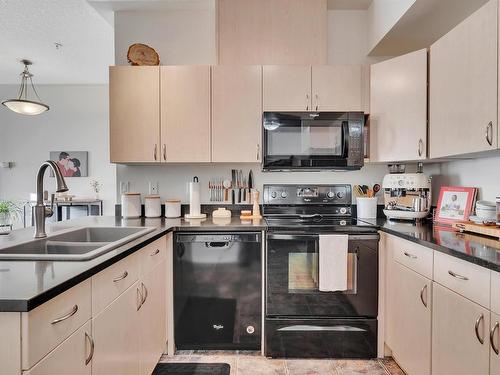 402 10606 102 Avenue, Edmonton, AB - Indoor Photo Showing Kitchen With Double Sink