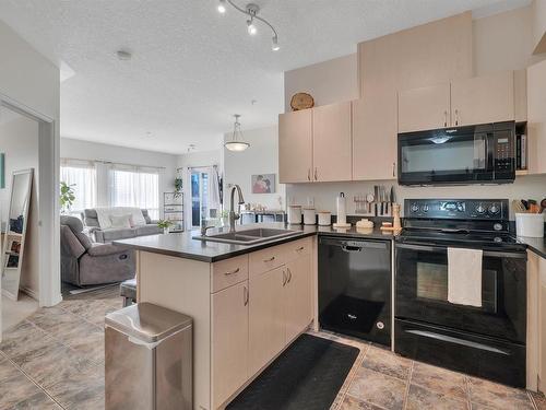 402 10606 102 Avenue, Edmonton, AB - Indoor Photo Showing Kitchen With Double Sink