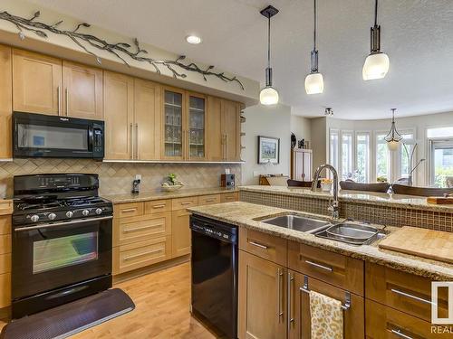 9 1225 Wanyandi Road, Edmonton, AB - Indoor Photo Showing Kitchen With Double Sink