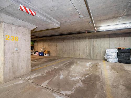 204 3315 James Mowatt Trail, Edmonton, AB - Indoor Photo Showing Garage