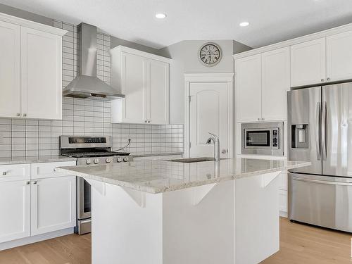 22407 99 Avenue, Edmonton, AB - Indoor Photo Showing Kitchen With Stainless Steel Kitchen With Upgraded Kitchen