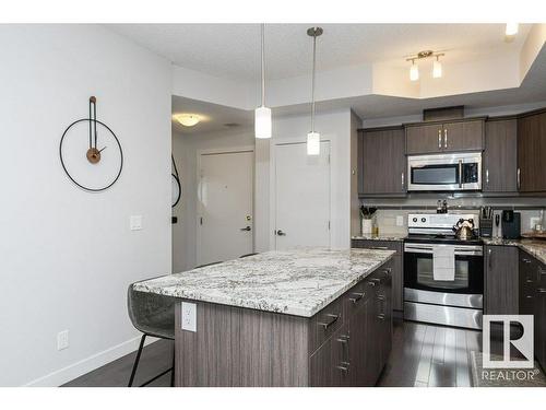 315 10523 123 Street, Edmonton, AB - Indoor Photo Showing Kitchen With Stainless Steel Kitchen With Upgraded Kitchen