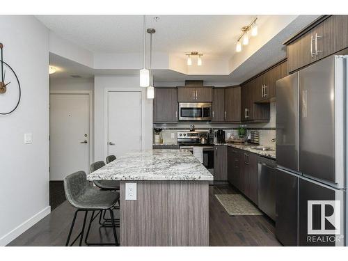 315 10523 123 Street, Edmonton, AB - Indoor Photo Showing Kitchen With Stainless Steel Kitchen With Upgraded Kitchen