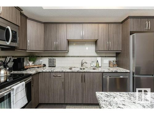 315 10523 123 Street, Edmonton, AB - Indoor Photo Showing Kitchen With Stainless Steel Kitchen With Double Sink With Upgraded Kitchen