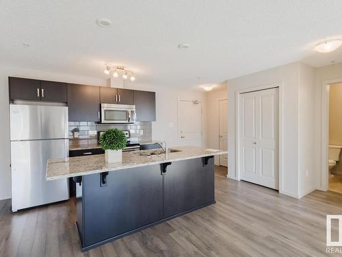 307 142 Ebbers Boulevard, Edmonton, AB - Indoor Photo Showing Kitchen With Double Sink