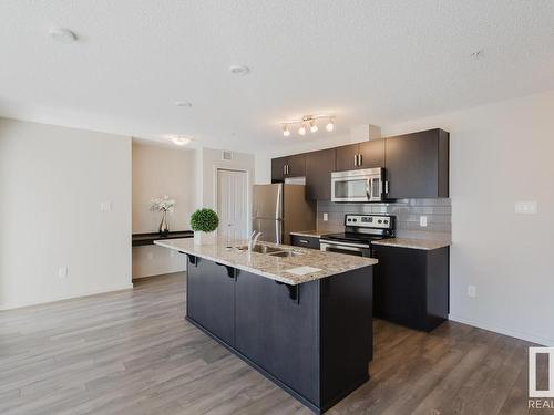 307 142 Ebbers Boulevard, Edmonton, AB - Indoor Photo Showing Kitchen With Stainless Steel Kitchen With Double Sink With Upgraded Kitchen