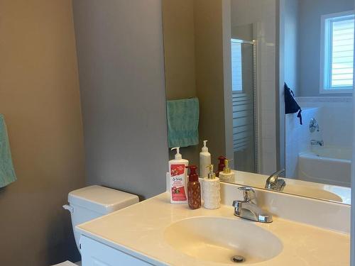 127 Ward Crescent, Edmonton, AB - Indoor Photo Showing Bathroom