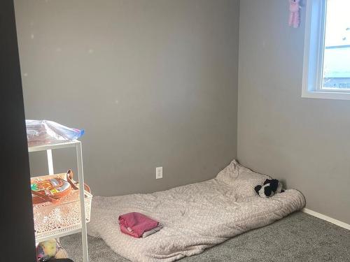 127 Ward Crescent, Edmonton, AB - Indoor Photo Showing Bedroom