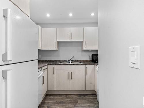 203 10138 116 Street, Edmonton, AB - Indoor Photo Showing Kitchen With Double Sink