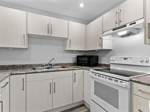 203 10138 116 Street, Edmonton, AB - Indoor Photo Showing Kitchen With Double Sink