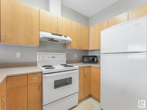 303 8108 109 Street, Edmonton, AB - Indoor Photo Showing Kitchen