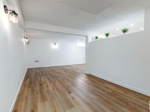 11860 58 Street, Edmonton, AB - Indoor Photo Showing Other Room