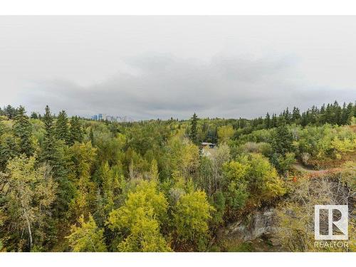 9937 88 Avenue, Edmonton, AB - Outdoor With View