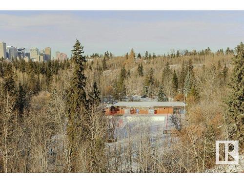 9937 88 Avenue, Edmonton, AB - Outdoor With View