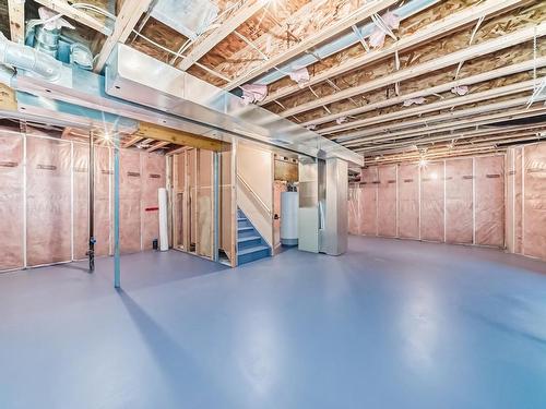 203 Caldwell Way, Edmonton, AB - Indoor Photo Showing Basement