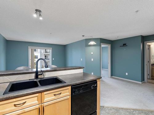 311 15211 139 Street, Edmonton, AB - Indoor Photo Showing Kitchen With Double Sink