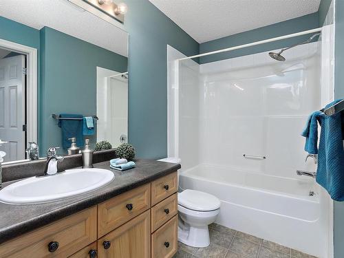 311 15211 139 Street, Edmonton, AB - Indoor Photo Showing Bathroom