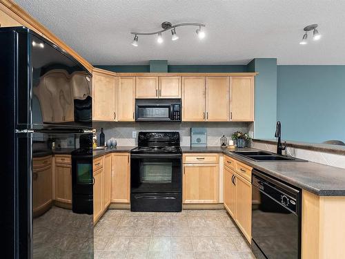 311 15211 139 Street, Edmonton, AB - Indoor Photo Showing Kitchen With Double Sink