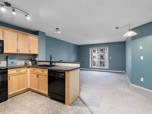 311 15211 139 Street, Edmonton, AB - Indoor Photo Showing Kitchen