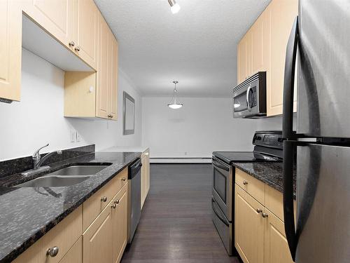 101 10520 80 Avenue, Edmonton, AB - Indoor Photo Showing Kitchen With Double Sink