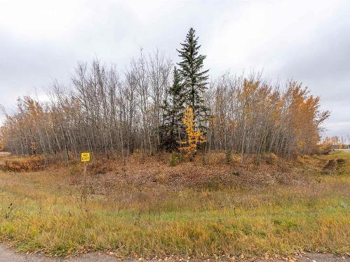 #100 55109 Hwy 777, Rural Lac Ste. Anne County, AB 