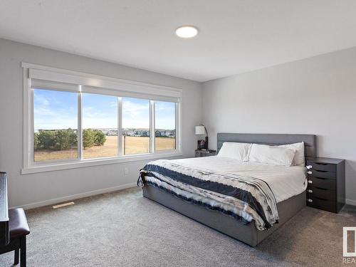 17119 46 Street, Edmonton, AB - Indoor Photo Showing Bedroom