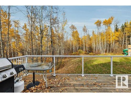 3552 53 Ave, Rural Wetaskiwin County, AB 