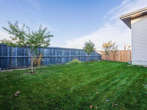 3036 58 Avenue Ne, Rural Leduc County, AB - Outdoor With Backyard