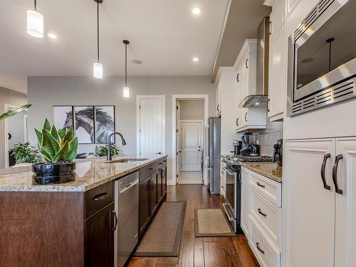 3036 58 Avenue Ne, Rural Leduc County, AB - Indoor Photo Showing Kitchen With Upgraded Kitchen