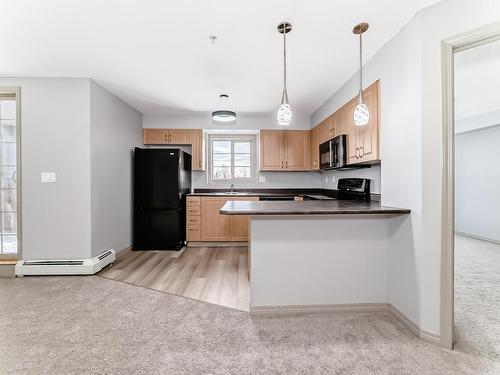 301 11453 Ellerslie Road, Edmonton, AB - Indoor Photo Showing Kitchen With Double Sink