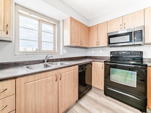 301 11453 Ellerslie Road, Edmonton, AB - Indoor Photo Showing Kitchen With Double Sink